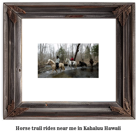 horse trail rides near me in Kahaluu, Hawaii